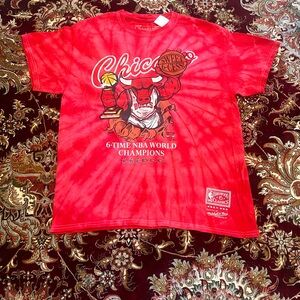 Vintage Chicago Bulls 6-Time NBA World Champions Men’s Size L Tie Dye T-Shirt